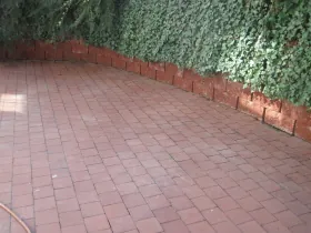 Zámková dlažba u živého plotu - po čištění
